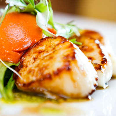 scallops at Nick and Johnny's Osteria